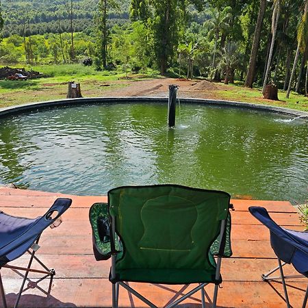 Pecan Farm Guesthouse Louis Trichardt Dış mekan fotoğraf