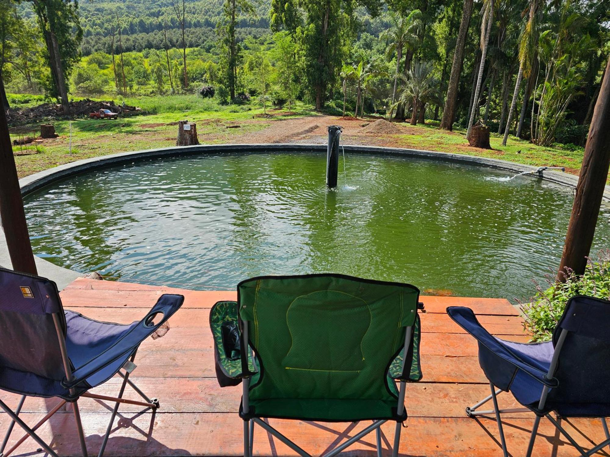 Pecan Farm Guesthouse Louis Trichardt Dış mekan fotoğraf