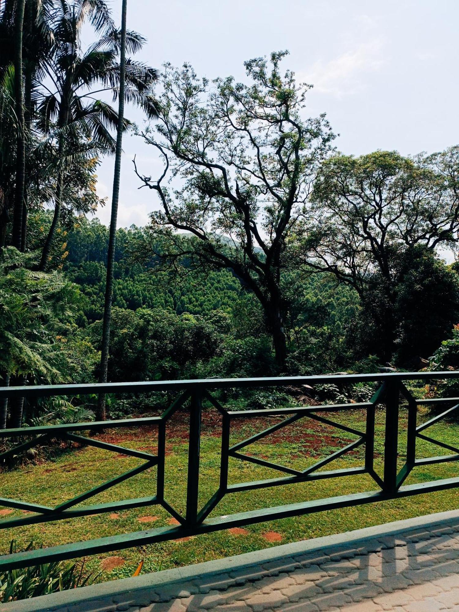 Pecan Farm Guesthouse Louis Trichardt Dış mekan fotoğraf