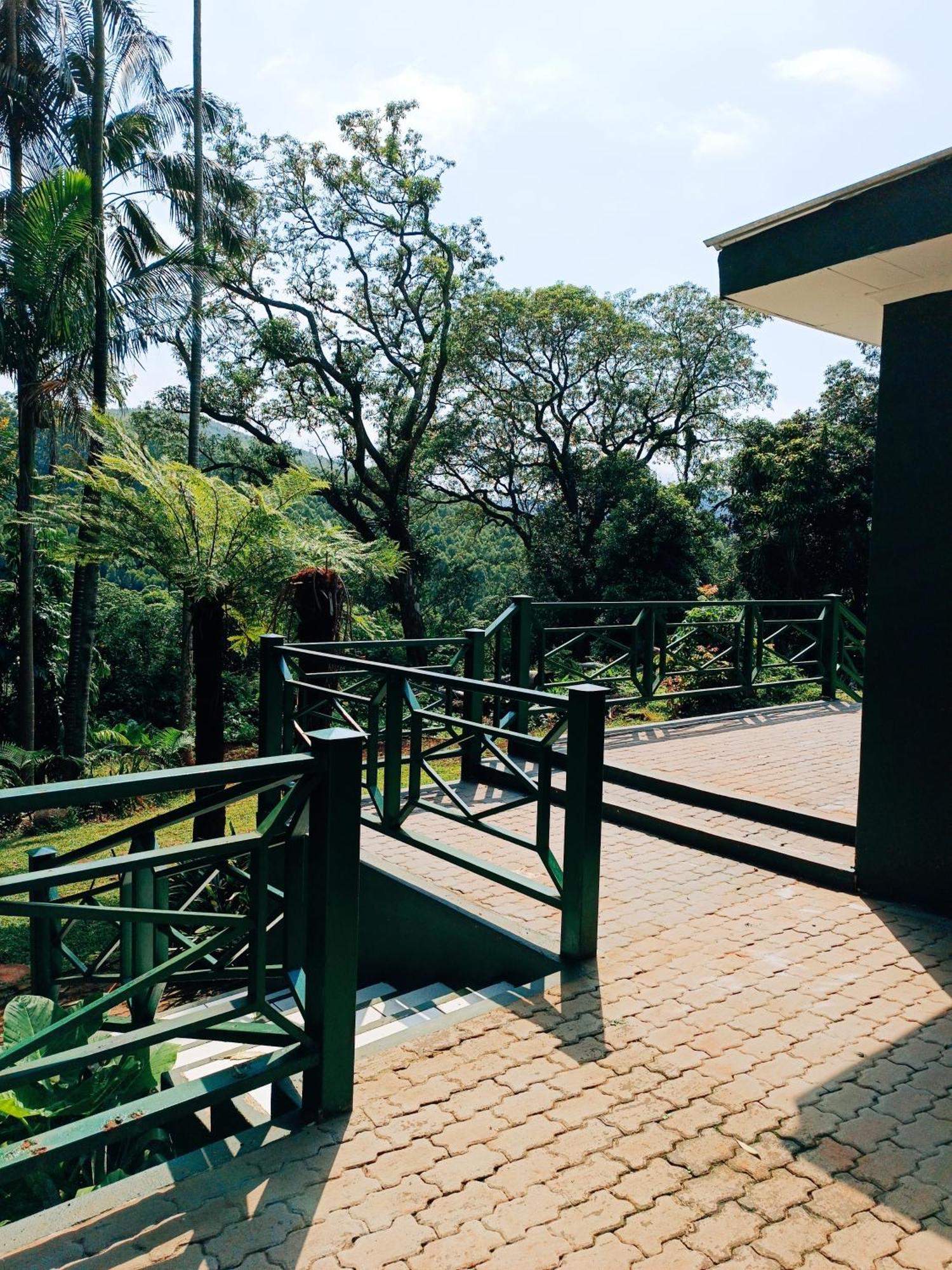 Pecan Farm Guesthouse Louis Trichardt Dış mekan fotoğraf