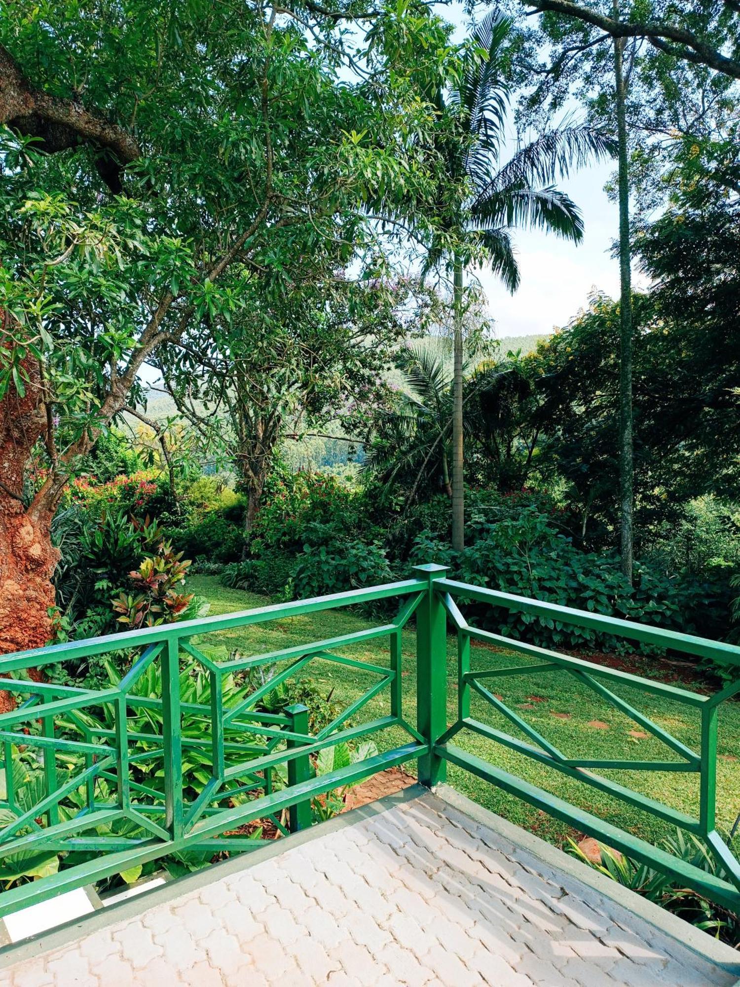 Pecan Farm Guesthouse Louis Trichardt Dış mekan fotoğraf